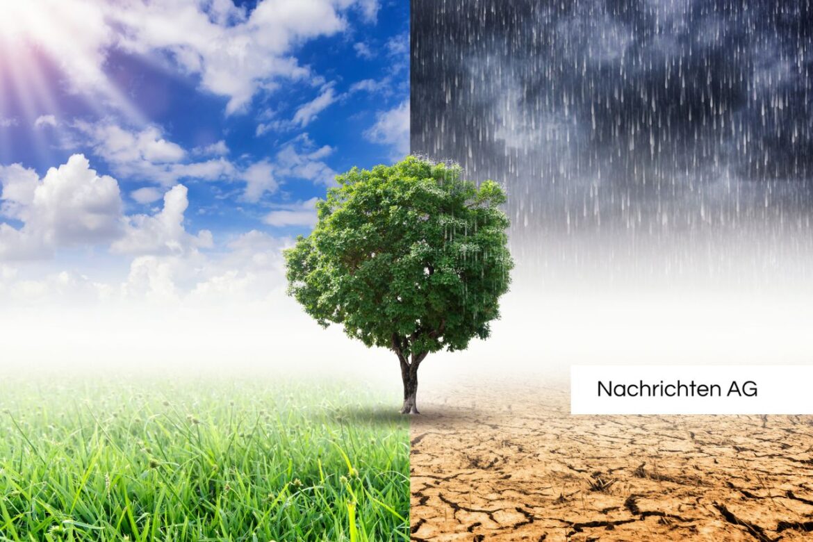Klimaschutz im Fokus: Vortragsreihe an der Uni Greifswald startet!