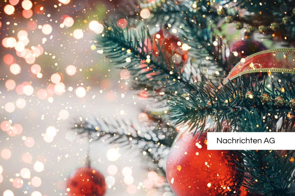 Herzliche Weihnachten: Kiel sucht Gastfamilien für internationale Studierende!