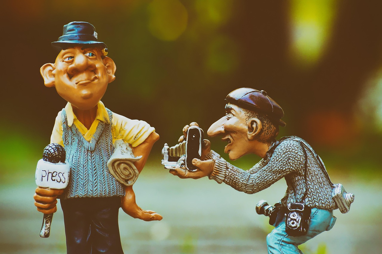 Neue Pilzarten in der Sächsischen Schweiz: Hoffnung für Brandflächen!