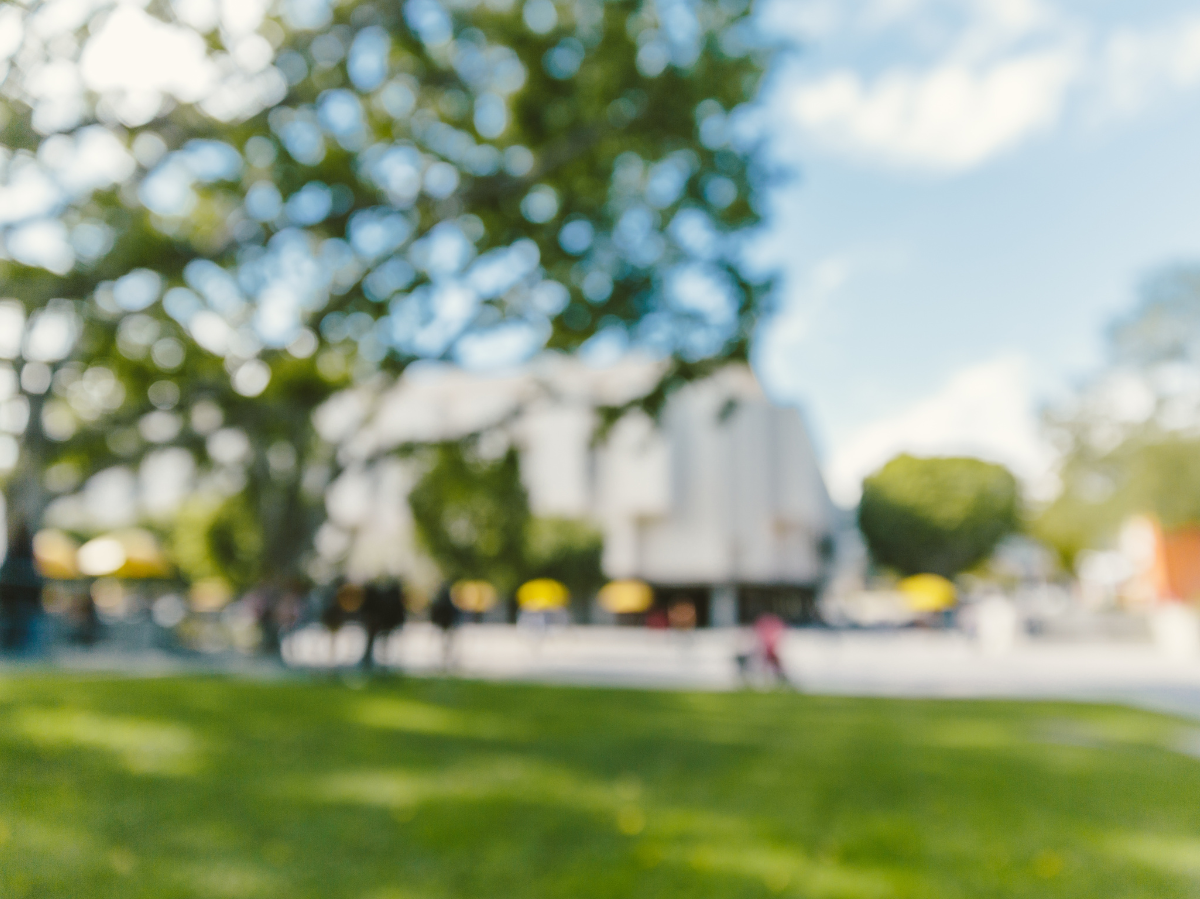 Chemnitz erinnert: Friedenstag am 5. März gedenkt der Bombardierung 1945